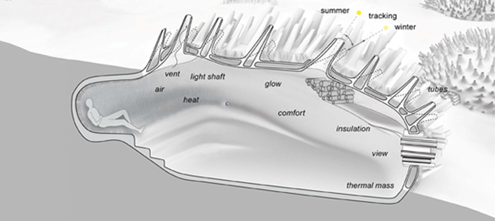 Polar Bear House